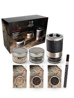 Maestro - Peugeot Saveurs